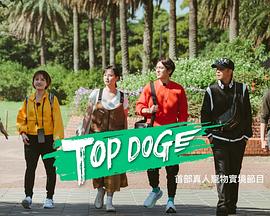 嫩芽视频《TOP DOG》免费在线观看