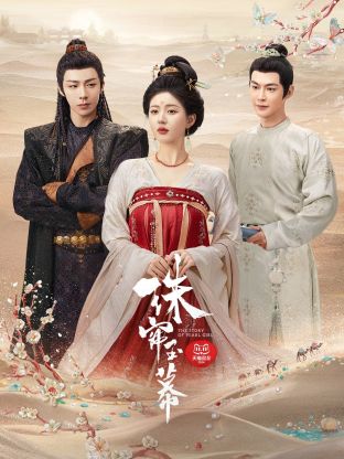 娱乐吃瓜《珠帘玉幕》免费在线观看