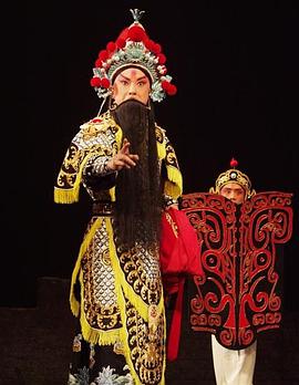 嫩草电影《袁崇焕2009》免费在线观看