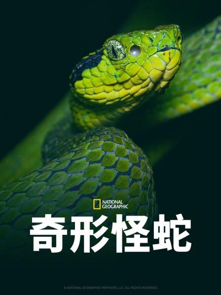 嫩草电影《奇形怪蛇》免费在线观看